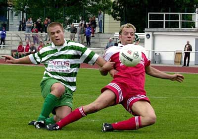 Steinmetz Fernschild